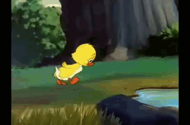 ugly no one loves duck tom and jerry
